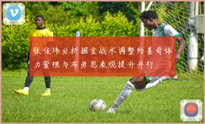 张佳玮分析掘金战术调整约基奇体力管理与布劳恩表现提升并行