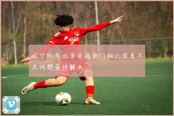 辽宁队与北京夺冠热门相比深度不足问题亟待解决