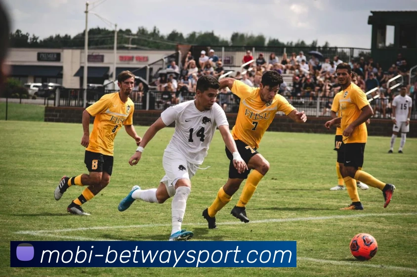 贝尔戈米称斯帕莱蒂战术致博洛尼亚困境尤文表现出色应得三分