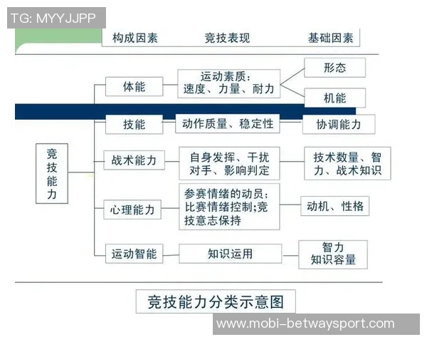 助教分析库里健身与手感的平衡之道探讨运动员体型与技能的关系